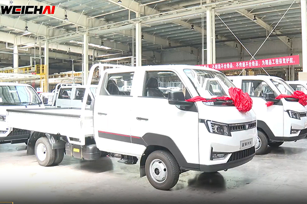 20 LANDKING NEV Light Trucks Were Exported to Kazakhstan 